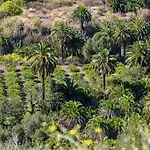 Garden View Iguazu 3 Near Yumbo Daire Playa del Ingles (Gran Canaria)